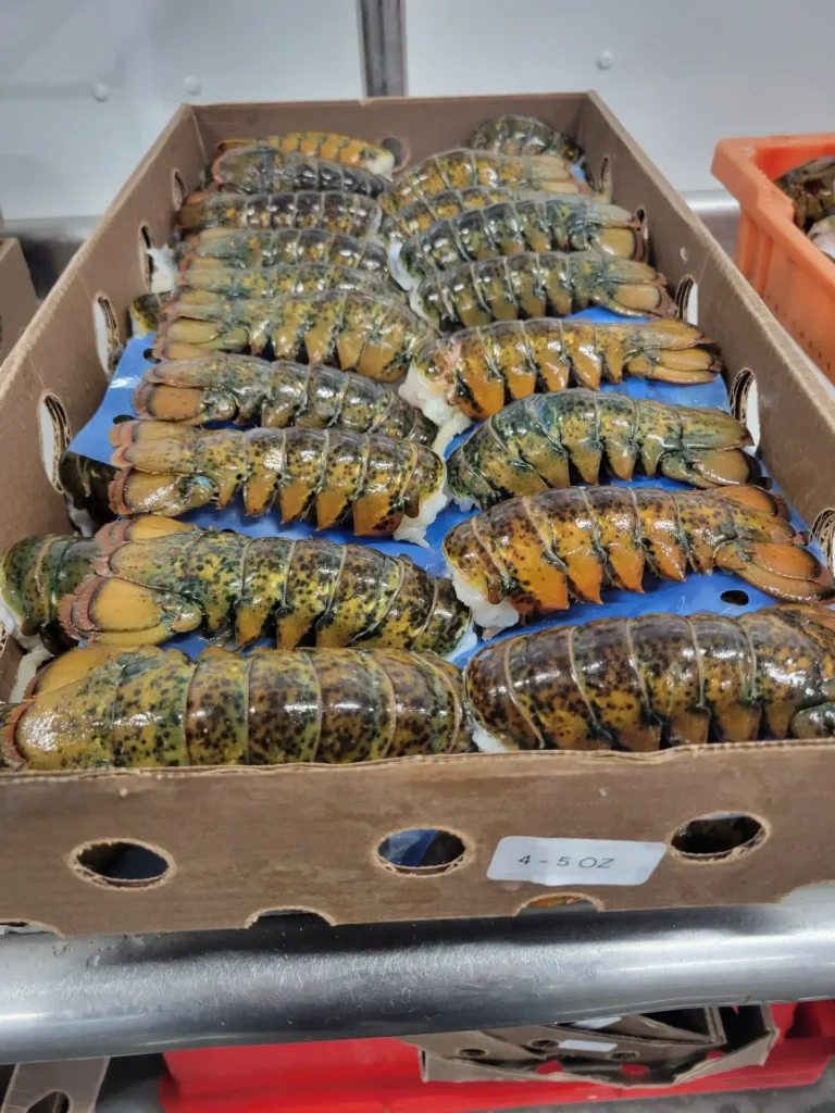 Frozen-Lobster-tails-scaled