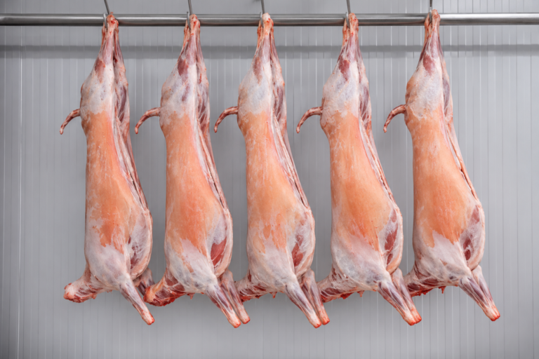 Frozen Lamb Carcass Wholesale Supplier & Exporter