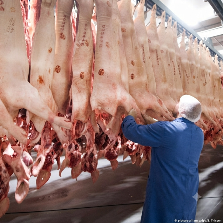 Frozen Pork Carcass