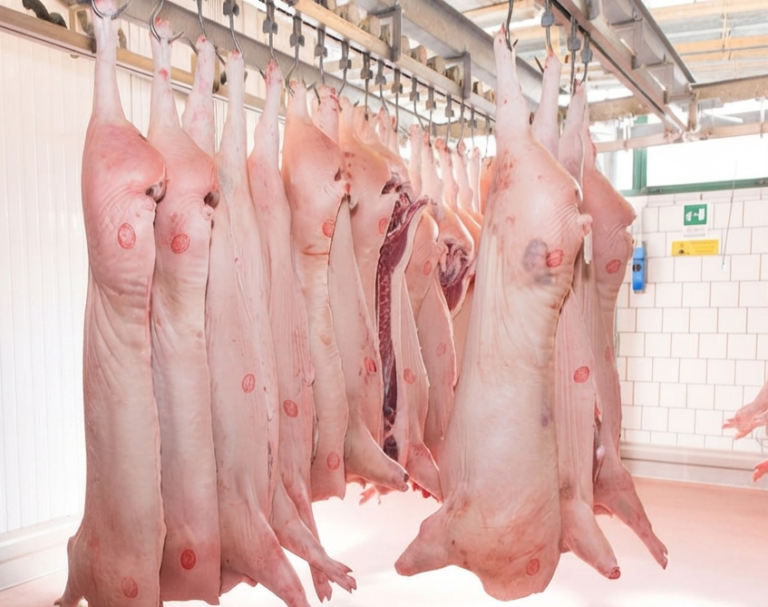 frozen pork carcass