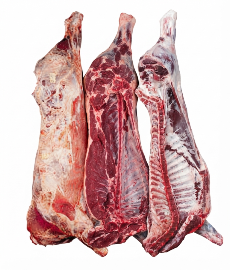 Frozen Beef Carcass Wholesale Supplier