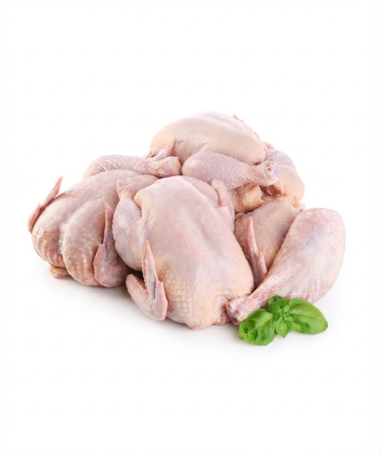 Frozen Whole Chicken Wholesale Supplier Distributor