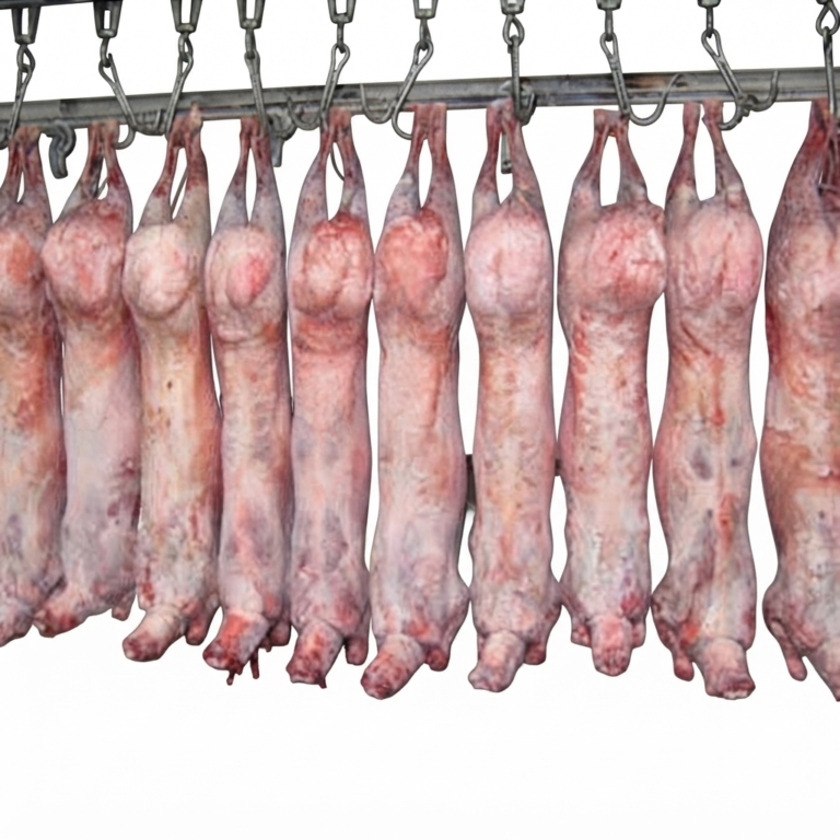 Frozen Halal Lamb, Mutton Meat Wholesale Supplier & Exporter