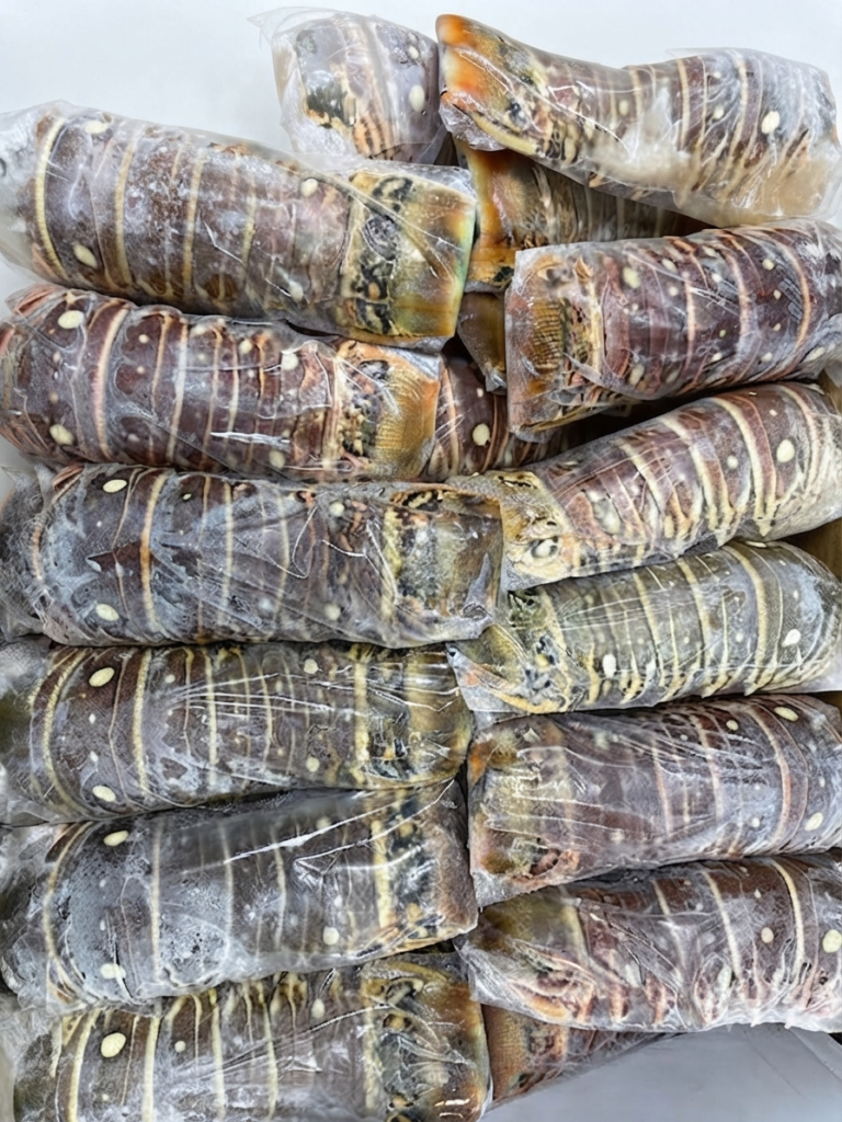 Fresh Frozen Lobster Tails Wholesale Supplier