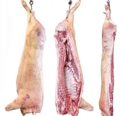 Frozen Pork Carcass Wholesale supplier & Exporter