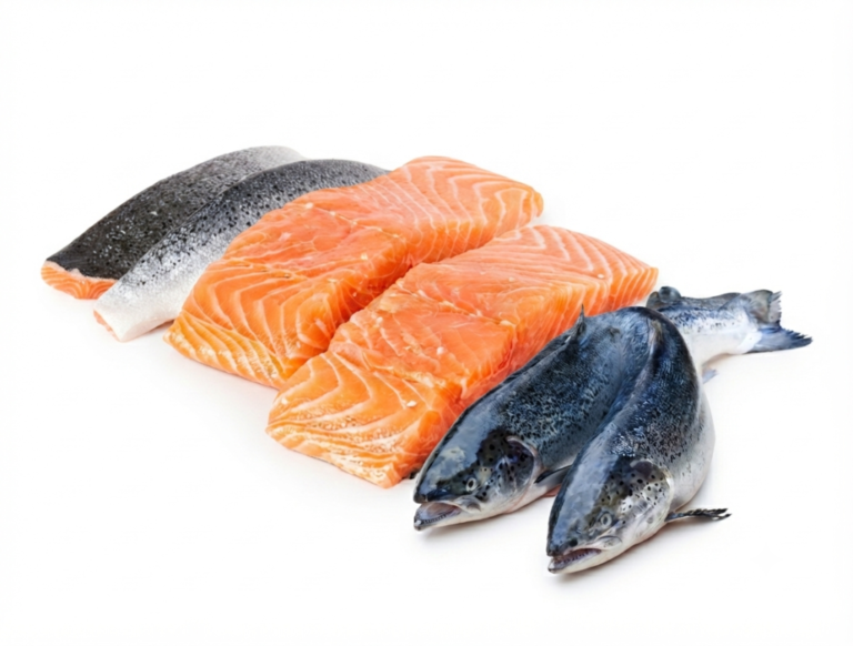 Frozen Salmon Fish Wholesale Supplier & Distributors